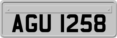 AGU1258