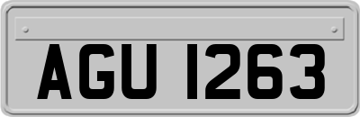 AGU1263