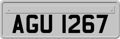 AGU1267
