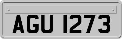 AGU1273