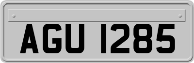 AGU1285