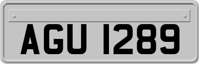 AGU1289