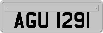 AGU1291