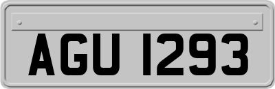 AGU1293