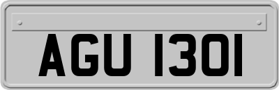 AGU1301