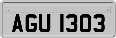 AGU1303