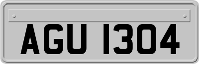 AGU1304