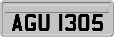 AGU1305