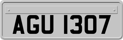 AGU1307