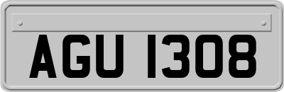 AGU1308
