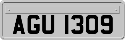 AGU1309