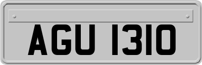 AGU1310