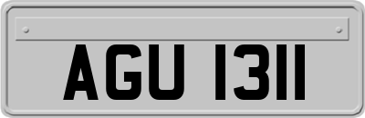 AGU1311