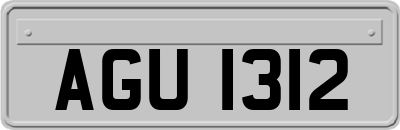 AGU1312
