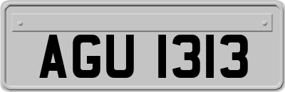AGU1313