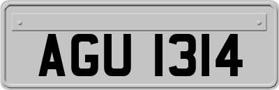 AGU1314