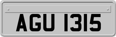 AGU1315