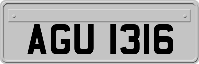 AGU1316