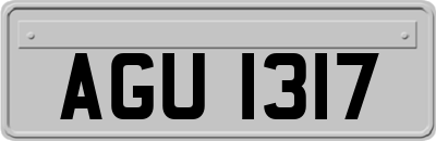 AGU1317