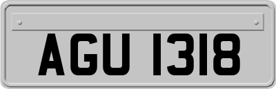 AGU1318