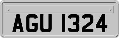 AGU1324