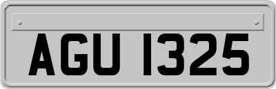 AGU1325