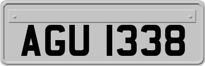 AGU1338