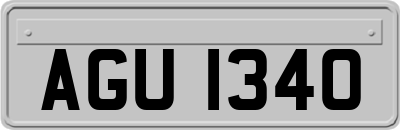AGU1340