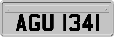 AGU1341