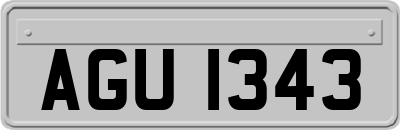 AGU1343