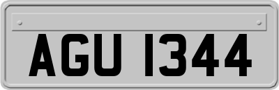 AGU1344