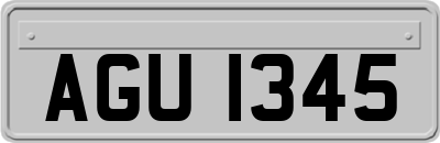 AGU1345