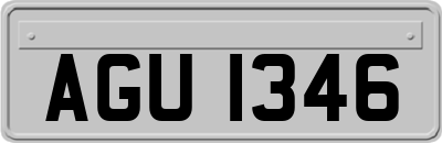 AGU1346