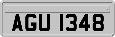 AGU1348