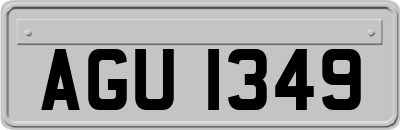 AGU1349
