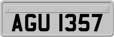 AGU1357