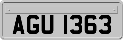 AGU1363