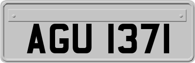 AGU1371