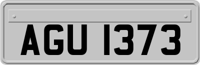 AGU1373