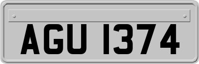 AGU1374