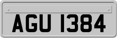 AGU1384