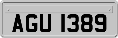 AGU1389