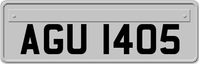 AGU1405