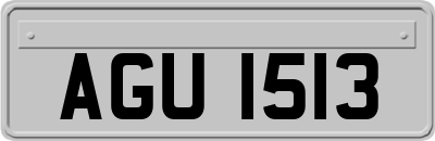 AGU1513