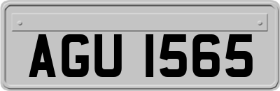 AGU1565