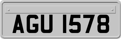 AGU1578