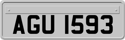 AGU1593