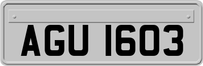 AGU1603