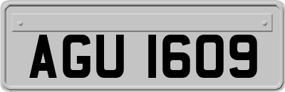 AGU1609