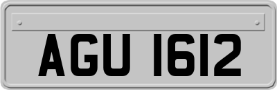 AGU1612